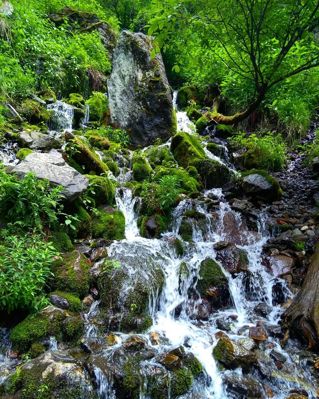 Waterfall on Kheerganga trek